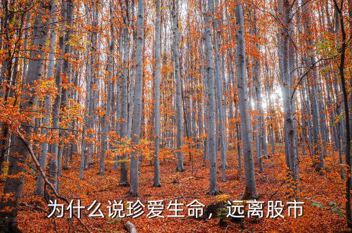 為什么說珍愛生命，遠離股市
