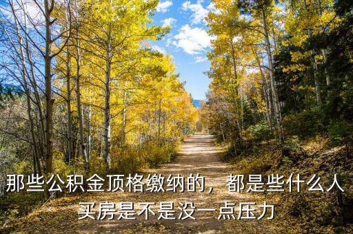 那些公積金頂格繳納的，都是些什么人買房是不是沒一點(diǎn)壓力