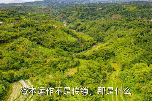 資本運(yùn)作不是傳銷，那是什么