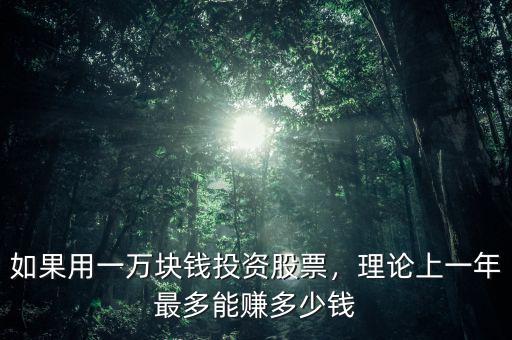 如果用一萬塊錢投資股票，理論上一年最多能賺多少錢