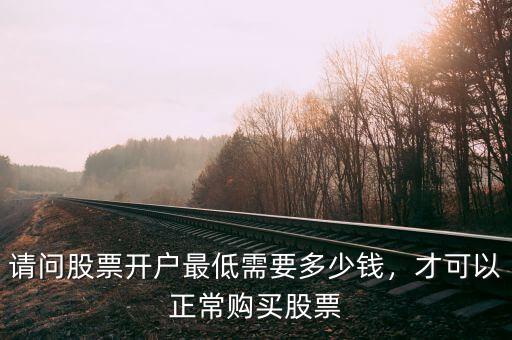 請問股票開戶最低需要多少錢，才可以正常購買股票