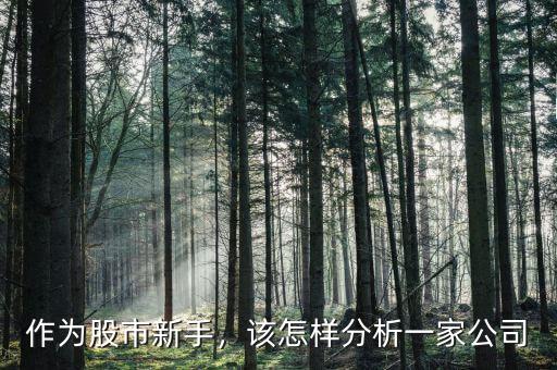 作為股市新手，該怎樣分析一家公司