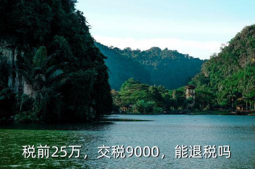 稅前25萬，交稅9000，能退稅嗎