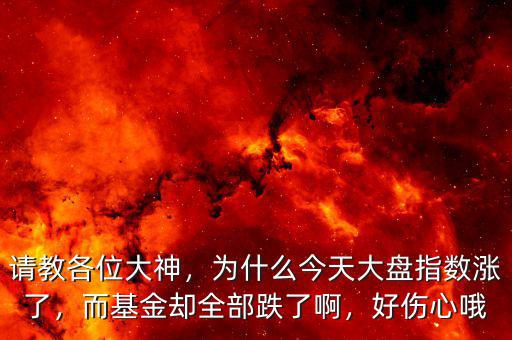 請(qǐng)教各位大神，為什么今天大盤指數(shù)漲了，而基金卻全部跌了啊，好傷心哦