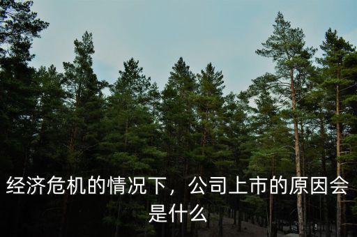 經(jīng)濟(jì)危機(jī)的情況下，公司上市的原因會(huì)是什么