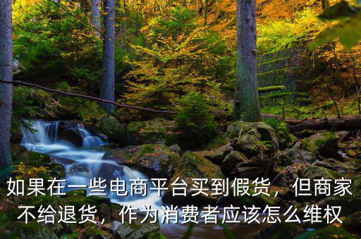 如果在一些電商平臺買到假貨，但商家不給退貨，作為消費者應(yīng)該怎么維權(quán)