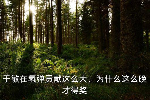 于敏在氫彈貢獻這么大，為什么這么晚才得獎