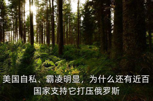 美國自私、霸凌明顯，為什么還有近百國家支持它打壓俄羅斯
