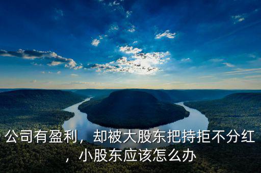 公司有盈利，卻被大股東把持拒不分紅，小股東應(yīng)該怎么辦