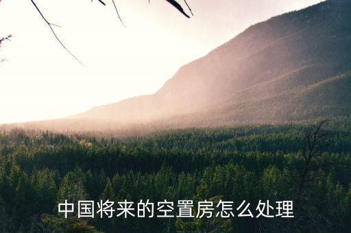 中國(guó)將來的空置房怎么處理