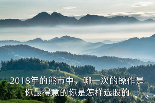 2018年的熊市中，哪一次的操作是你最得意的你是怎樣選股的