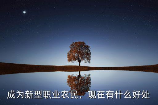 十三五規(guī)劃對農民有什么好處,對種地的農民有什么好處