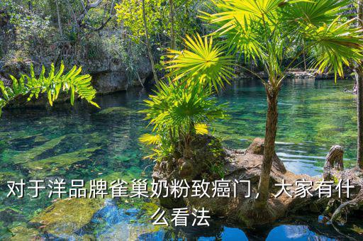 對于洋品牌雀巢奶粉致癌門，大家有什么看法