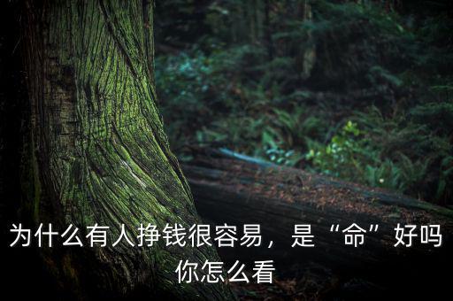 為什么有人掙錢很容易，是“命”好嗎你怎么看
