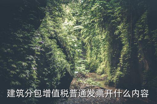 建筑分包增值稅普通發(fā)票開什么內容