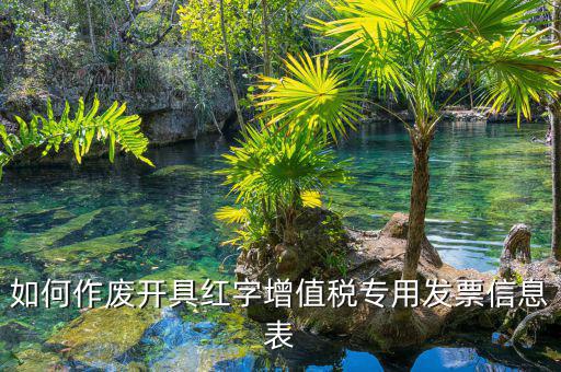 開具紅字信息表撤銷需要什么意思，我是購(gòu)貨方開具紅字信息表錯(cuò)誤去稅務(wù)局撤銷信息表查看描寫
