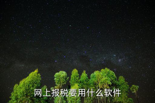 網(wǎng)上報(bào)稅下載什么軟件，深圳etax網(wǎng)上報(bào)稅軟件哪里下載