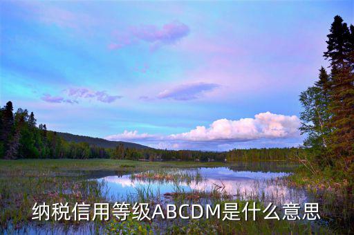 江蘇國稅信用評(píng)級(jí)是什么，納稅信用等級(jí)ABCDM是什么意思