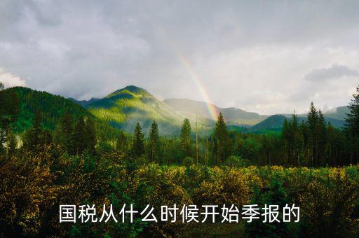 國稅什么時(shí)間申報(bào)，國稅從什么時(shí)候開始季報(bào)的