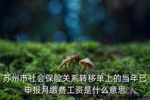社保已申報是什么意思，新手求助請問網(wǎng)上申報是什么意思