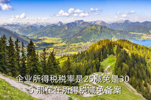 增值稅優(yōu)惠什么備案表，增值稅減免稅備案需要哪些資料