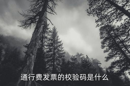 查驗(yàn)發(fā)票驗(yàn)證碼是什么，通行費(fèi)發(fā)票的校驗(yàn)碼是什么