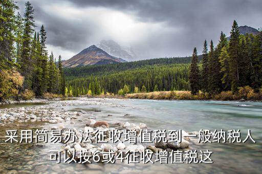 什么是簡(jiǎn)易征收辦法征收增值稅，采用簡(jiǎn)易辦法征收增值稅到一般納稅人可以按6或4征收增值稅這