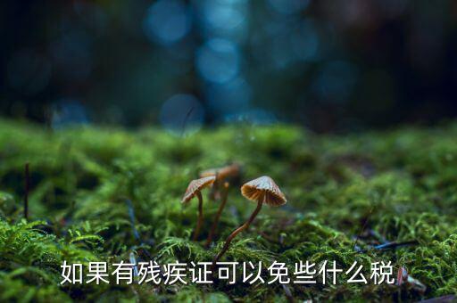 殘疾人免征什么稅，如果有殘疾證可以免些什么稅