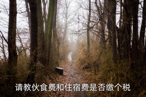住宿費(fèi)屬于什么稅，請(qǐng)教伙食費(fèi)和住宿費(fèi)是否繳個(gè)稅