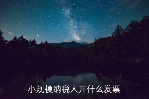 成都小規(guī)模應(yīng)開什么發(fā)票，小規(guī)模納稅人開什么發(fā)票