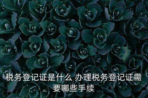 地稅局登記是什么，地稅辦理稅務(wù)登記需要哪些資料