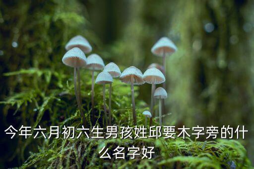 稅什么邱什么的名字，孩子姓邱該取什么名字呢男女都行