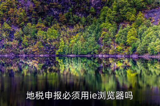 用什么瀏覽器申報山東地稅，地稅申報必須用ie瀏覽器嗎