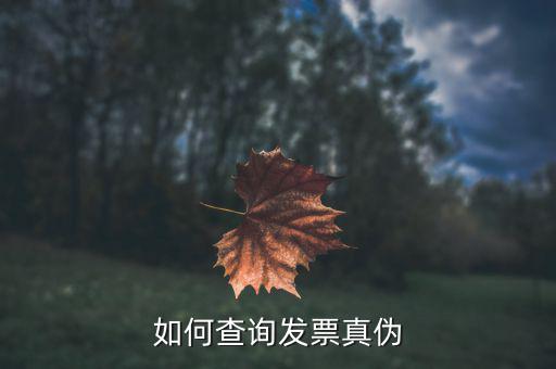 查驗(yàn)發(fā)票需要什么信息，發(fā)票怎么去稅務(wù)局驗(yàn)證需要什么資料