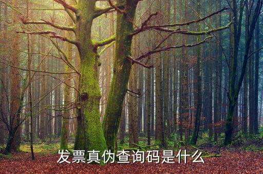 定額發(fā)票真?zhèn)尾樵兲?hào)是什么，發(fā)票真?zhèn)尾樵兇a是什么