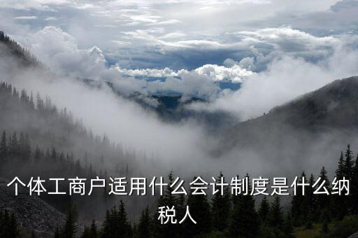個(gè)體工商戶(hù)適用什么會(huì)計(jì)制度是什么納稅人