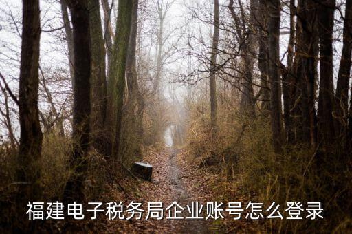 福建省地稅登入名是什么，地稅網(wǎng)上報稅平臺報稅賬號是什么