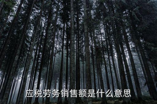 稅勞務(wù)銷售額是什么，增值稅會(huì)計(jì)處理銷售貨物或應(yīng)稅勞務(wù)的銷售額
