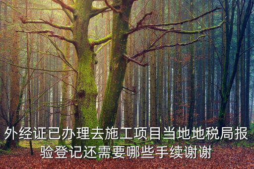 外管證報(bào)驗(yàn)都需要什么，辦了外管證咋申報(bào)