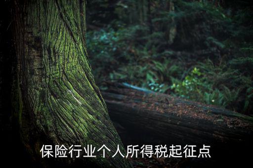 保險行業(yè)入交什么稅，保險行業(yè)個人所得稅起征點