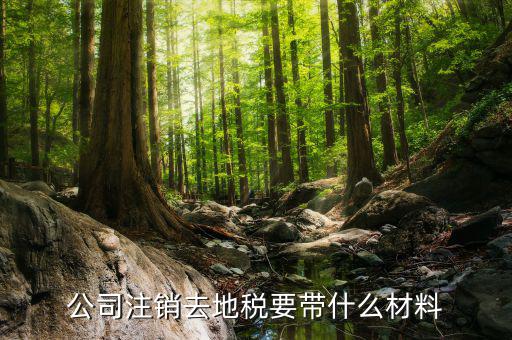 注銷地稅需要帶什么資料，公司注銷去地稅要帶什么材料