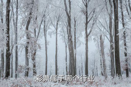 什么是彩票發(fā)行收入，福利彩票的發(fā)行收入是否征收營(yíng)業(yè)稅