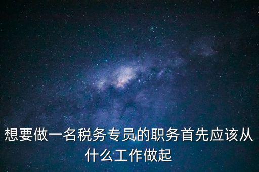 稅務(wù)專(zhuān)員是做什么的，稅務(wù)坐席專(zhuān)員做什么