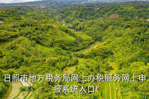 日照報稅的網(wǎng)址是什么意思，網(wǎng)上報稅在哪個網(wǎng)站