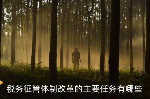 稅務(wù)系統(tǒng)的業(yè)務(wù)改革都有什么，稅務(wù)征管體制改革的主要任務(wù)有哪些