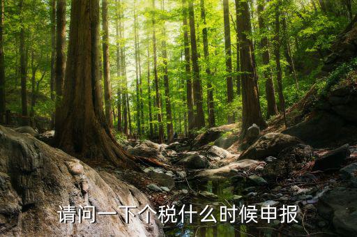 個稅什么時候開始申報，個人所得稅明細申報什么時候報