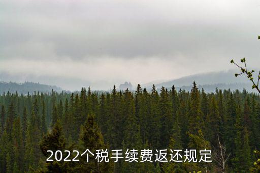 個稅返手續(xù)費(fèi)什么時間，退個稅手續(xù)費(fèi)2022年新規(guī)定