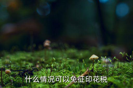 印花稅免稅是什么政策規(guī)定，什么情況可以免征印花稅