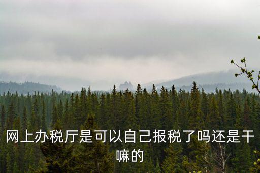 云廳報(bào)稅是什么意思，網(wǎng)上辦稅廳是可以自己報(bào)稅了嗎還是干嘛的