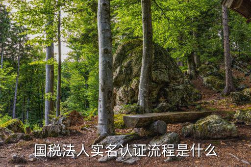 稅務實名認證需要什么，在國稅局辦理實名認證要準備哪些資料
